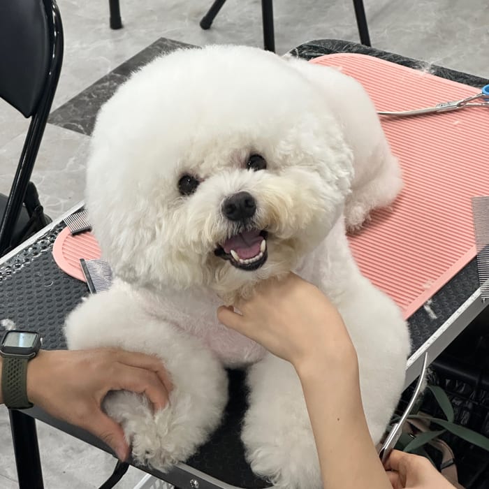 가위컷 디자인 실습