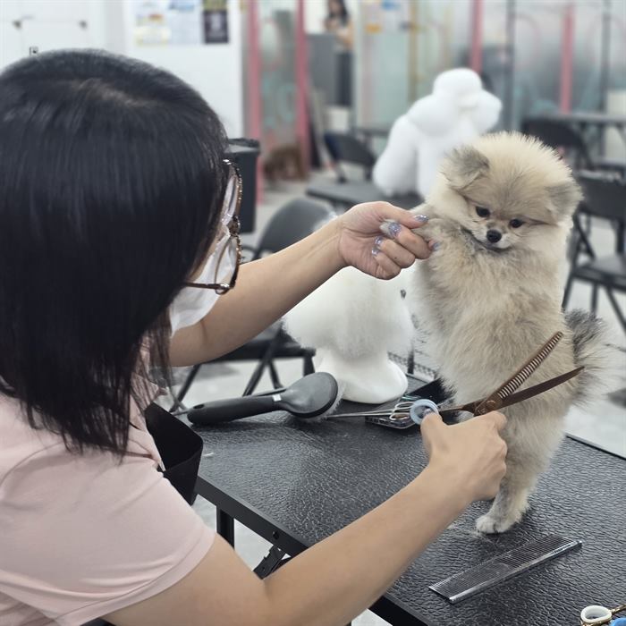 완성 스타일링